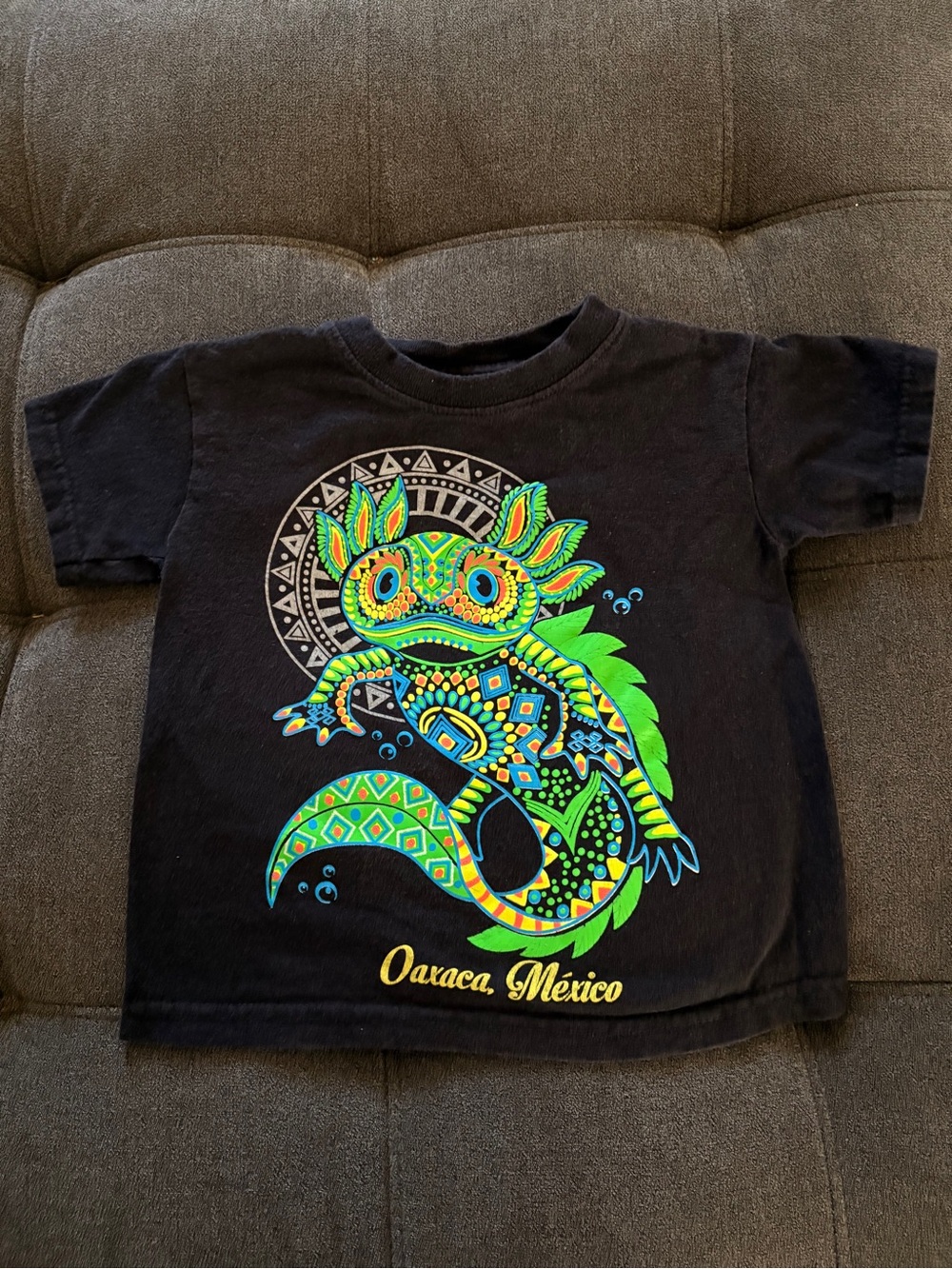 3T kid’s Oaxaca, Mexico Axolotl Alebrijes T-Shirt